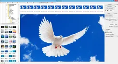 Photoscape Фотоскапе — логотип