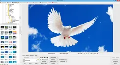 Photoscape Фотоскапе — скриншот 3